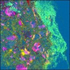 SIMS of Drug Bead False Color Image with 3 PCs 